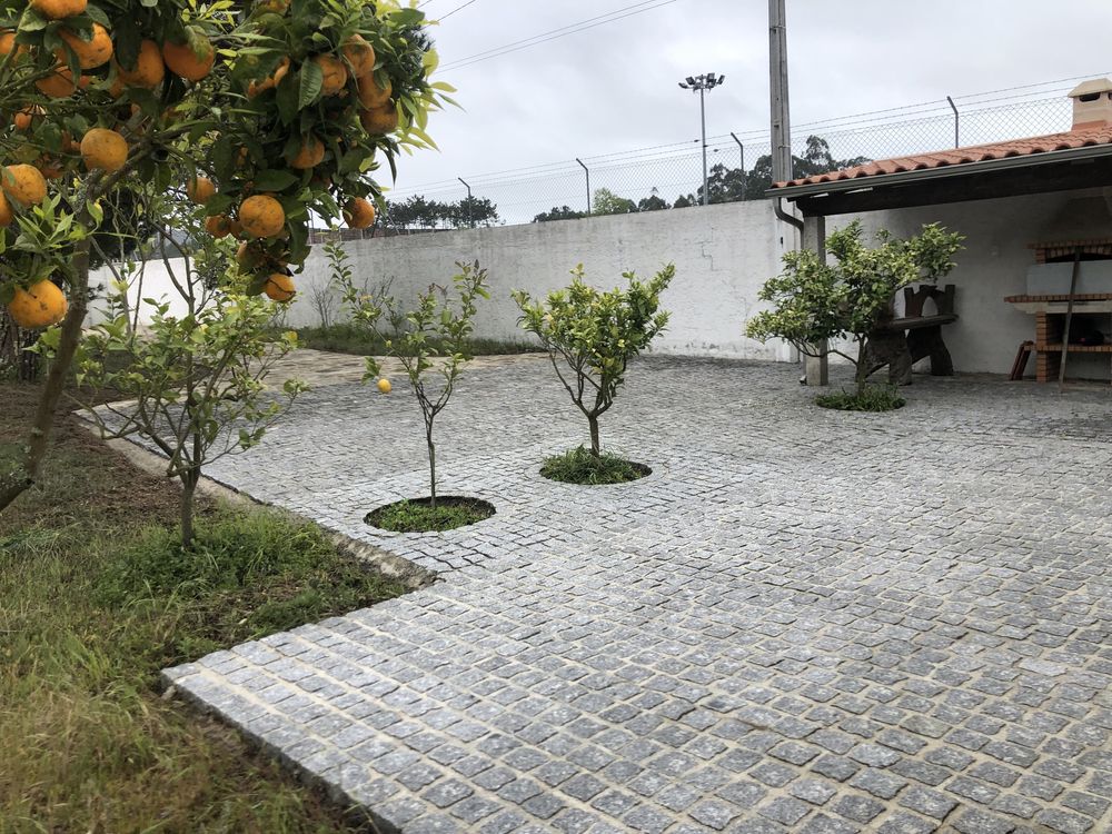 Quinta com duas casas com árvores de fruto