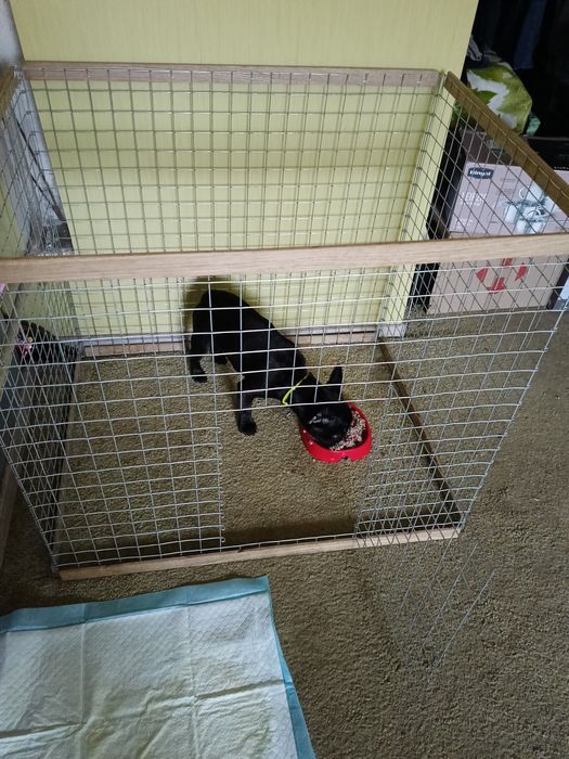 Вольєр для тварин