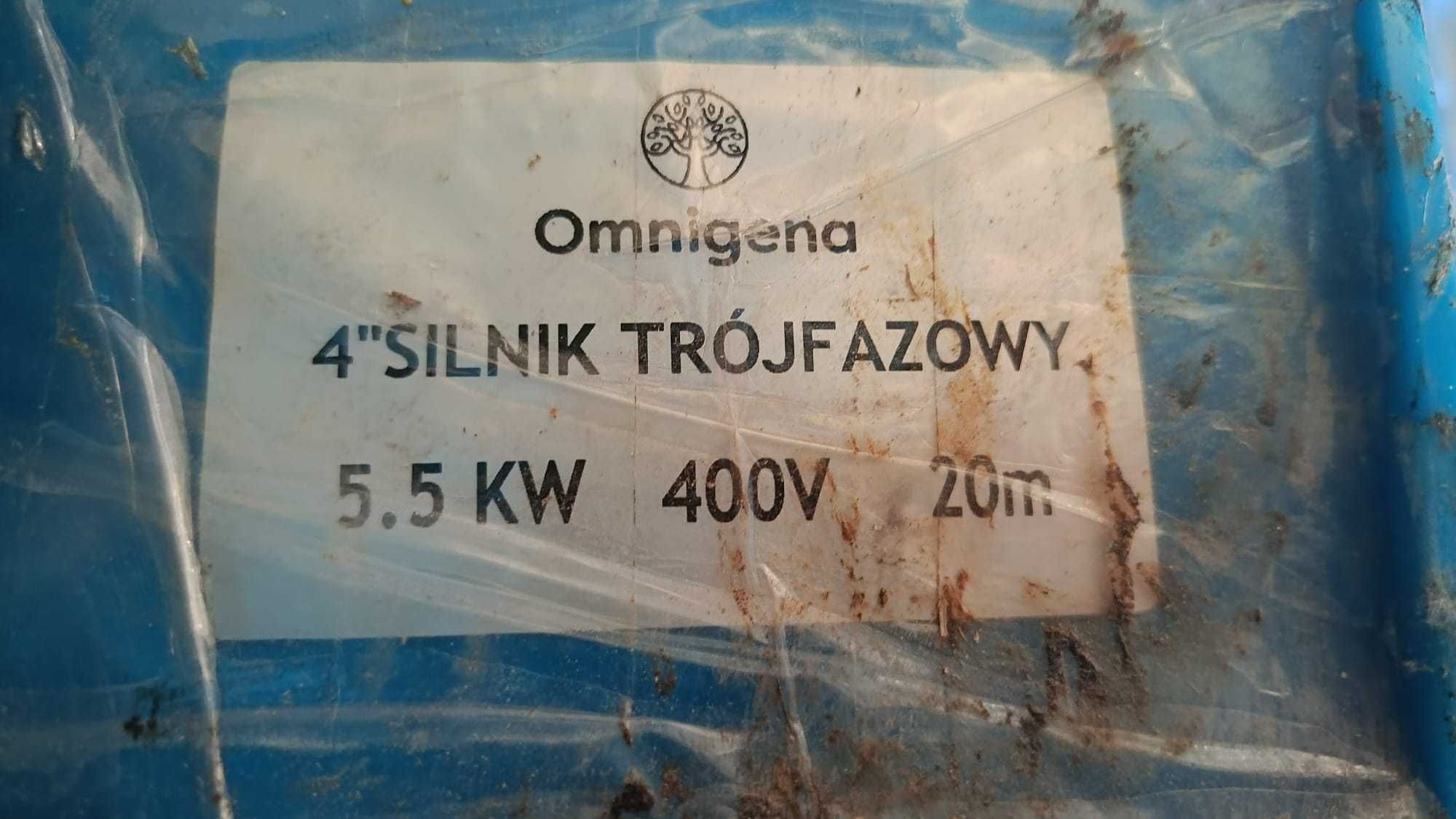 Silnik pompy głębinowej omnigena