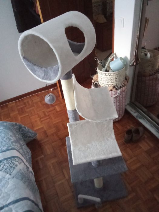 Arvore de gato (muito pouco usada)