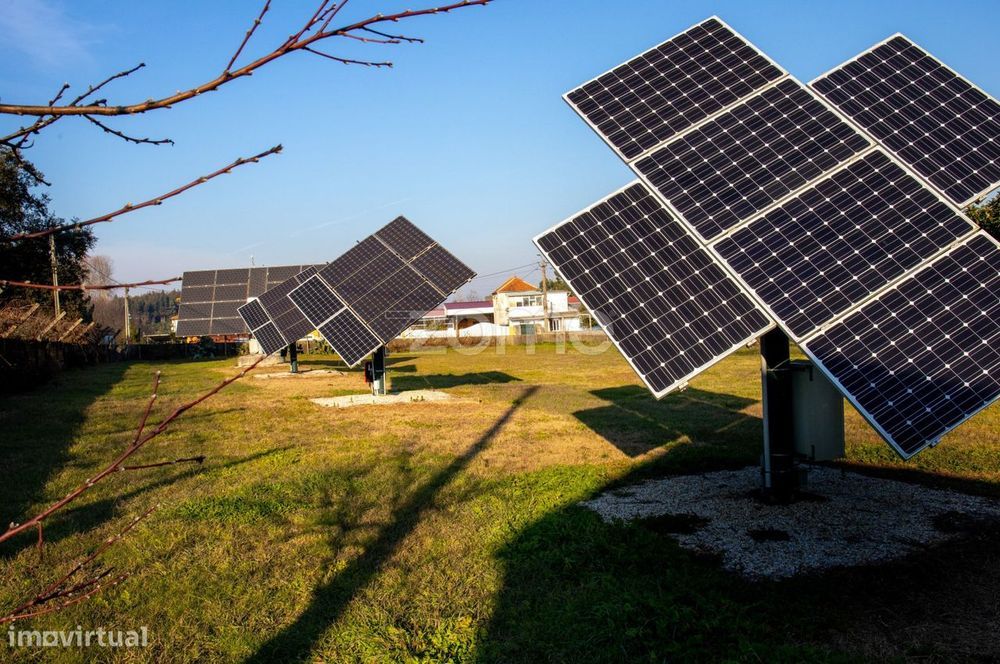 Quinta Kiwis, 1,7ha, 2 casas, piscina, Estrada Real, Águeda, Aveiro