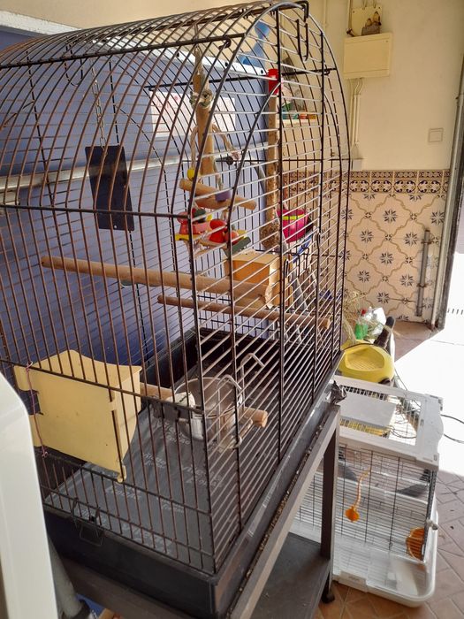 Gaiola grande  para pássaros