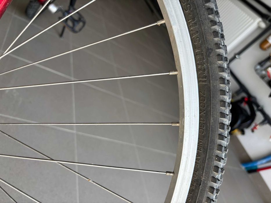 rower damski, górski WHEELER