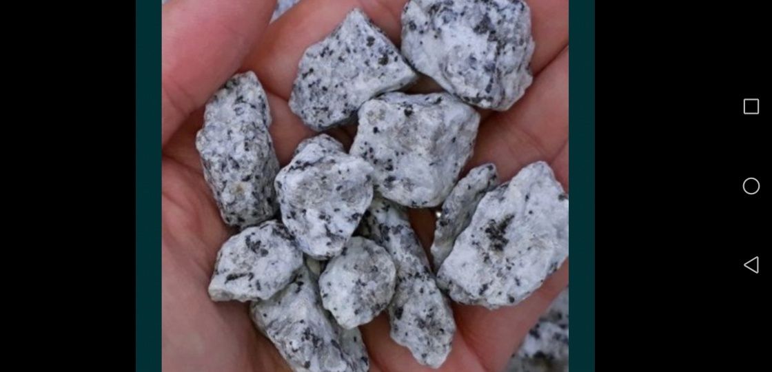 Kruszywo ozdobne granitowe dalmatyńczyk kamienie Ogrodowe od 250zl