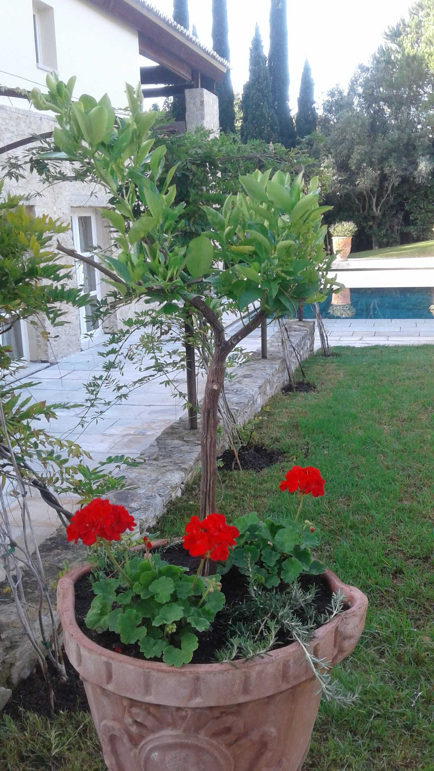 Prestação de serviços para o sua casa