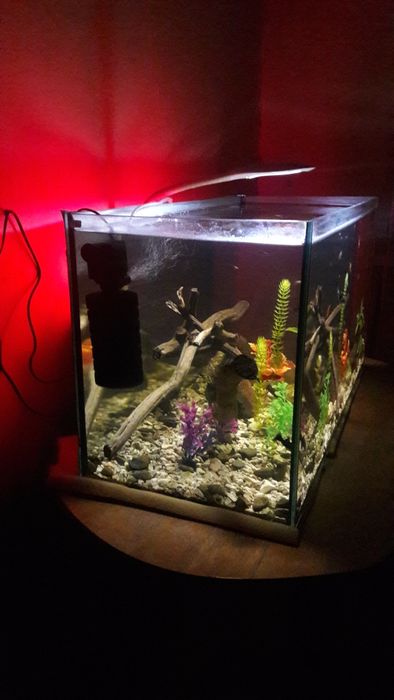 Продам акваріум 120л комплект