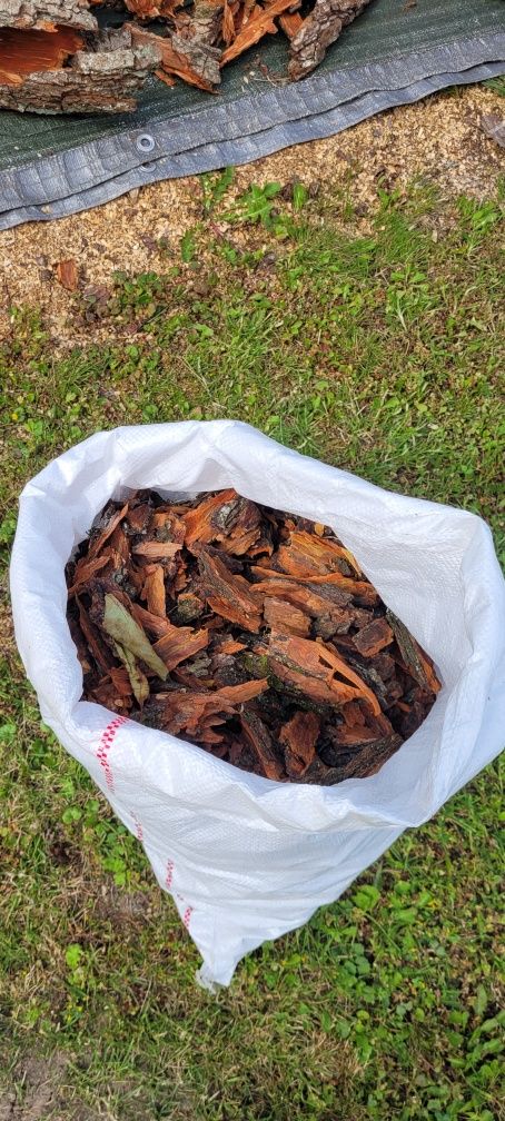 Gruba kora olchowa