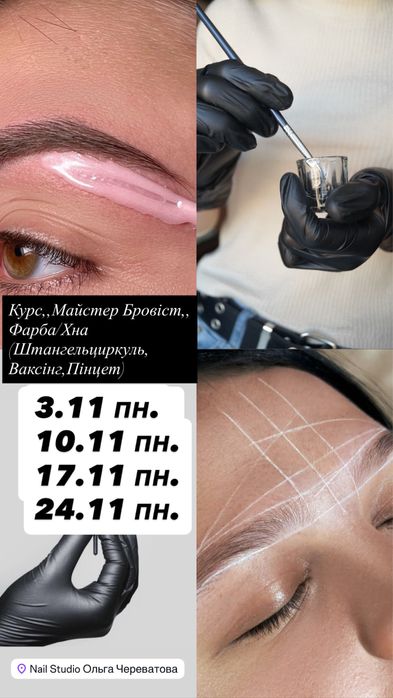 Курс,,Майстер Бровист,,