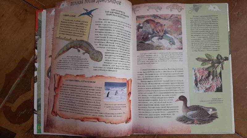 Динозавры, энциклопедия, энциклопедия динозавры