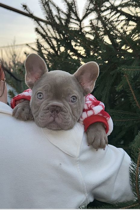 Міні хлопчик новотипний