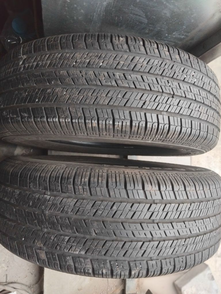 Автомобильные шины из Германии 215/55/18