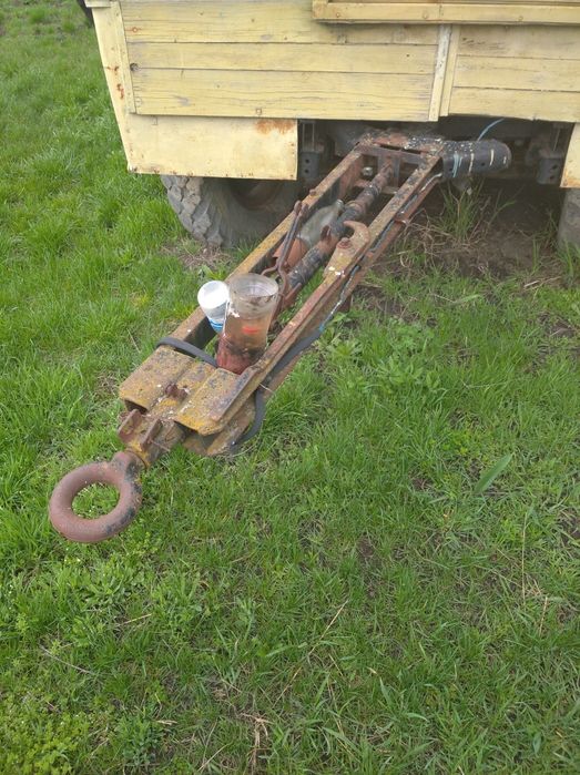 Пчелопавильон, пчёлы