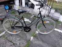 Rower miejski Edition City Line 5 biegów
