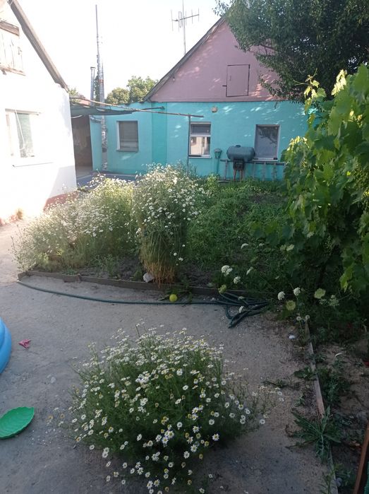 Не сдаем!Продаем Дома 1+1 в центре  міста