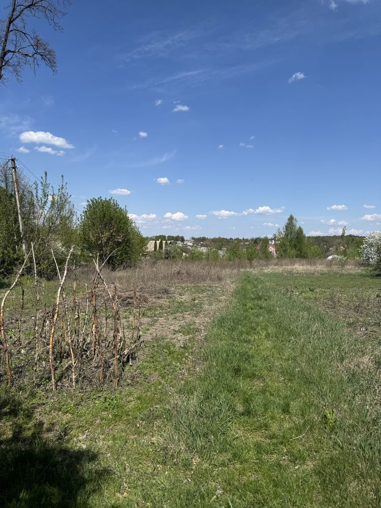 Земля Дзвінкове 25 соток