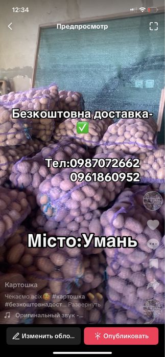 Картошка Бела Роса,Бананка,Королева Анна