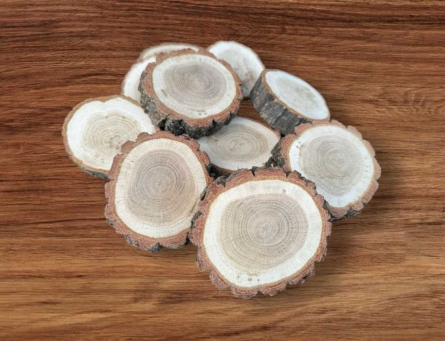 100 szt Plastry drewna dębowe średnica 7-10cm na winietki ślubne