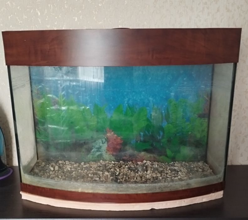 Акваріум 60 літрів