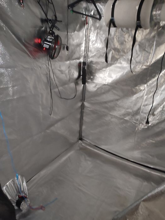 Growroom / Estufa / Growtent