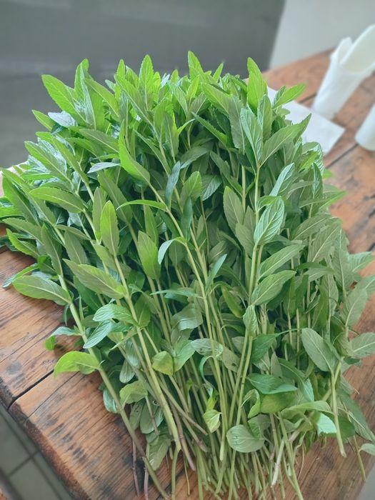 Мята ,веник для бани