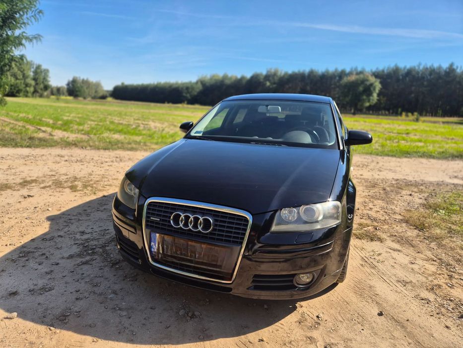 Audi A3 Audi A3 8P • 2007 • quattro •170 KM
