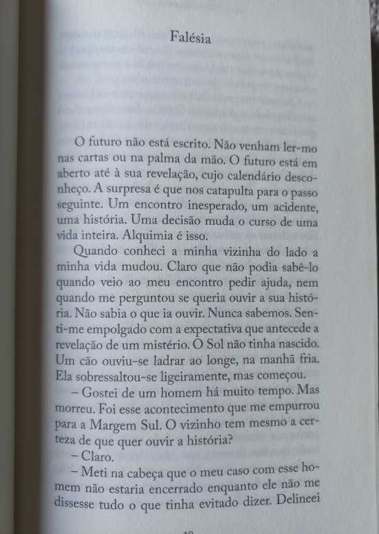 Um Cão no Meio do Caminho - Isabela Figueiredo