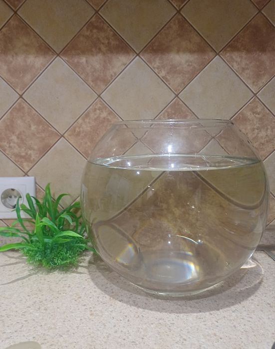 Аквариум круглый + фильтр+компрессор + зелень