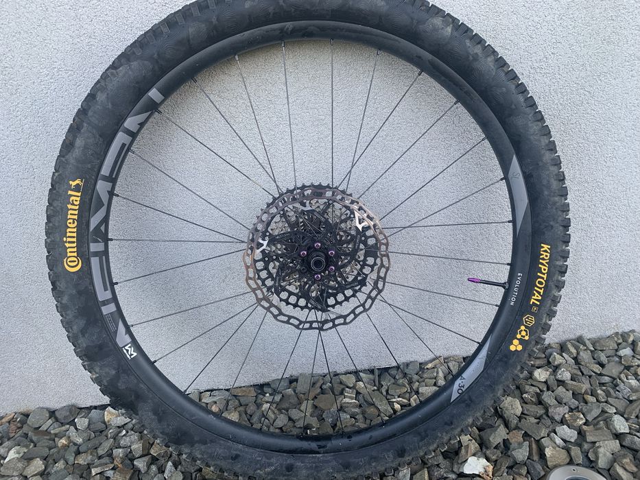 Newmen evolution sl A-30 29”