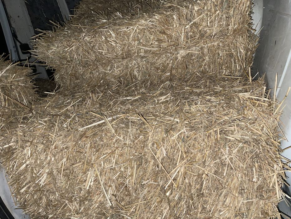 Солома в  будку для собак, в тюках возможна доставка