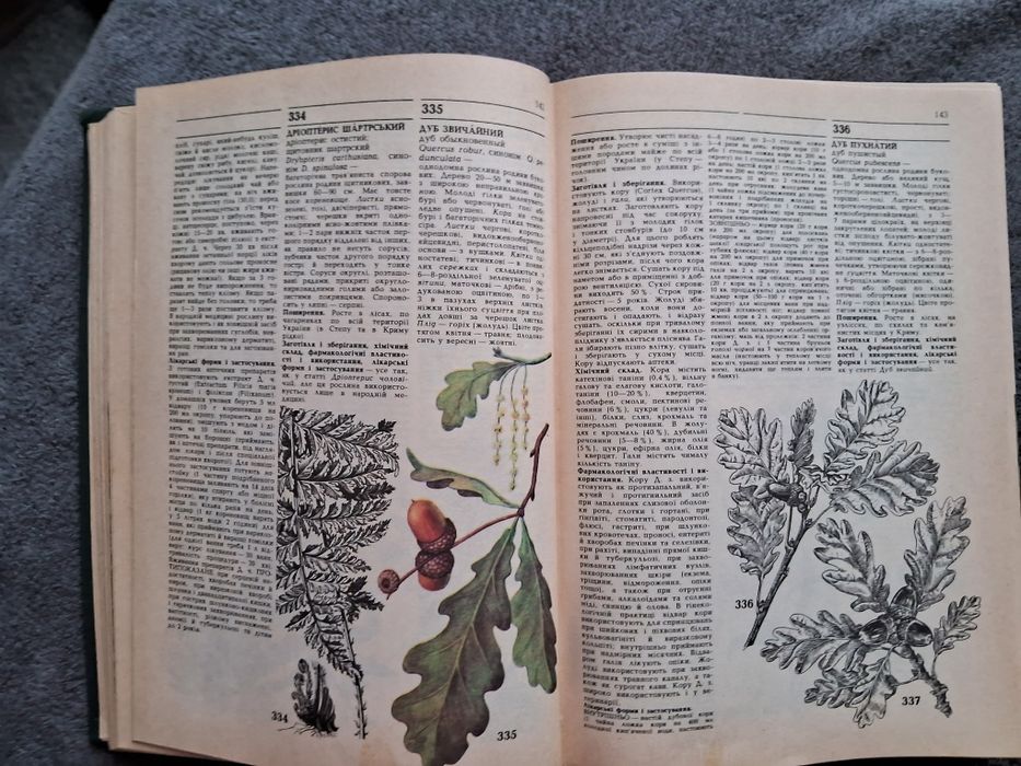 Лікарські рослини