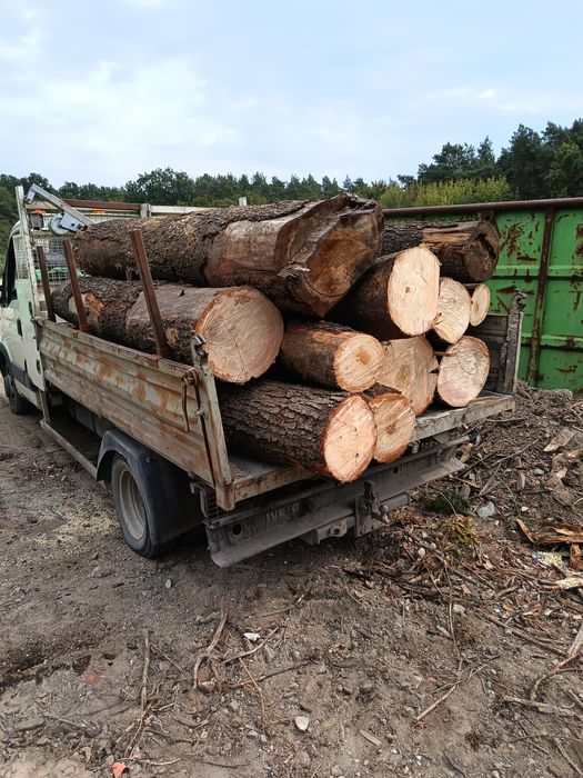 Drzewo drewno opałowe dąb i inne