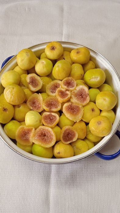 Продам саджанці  інжиру