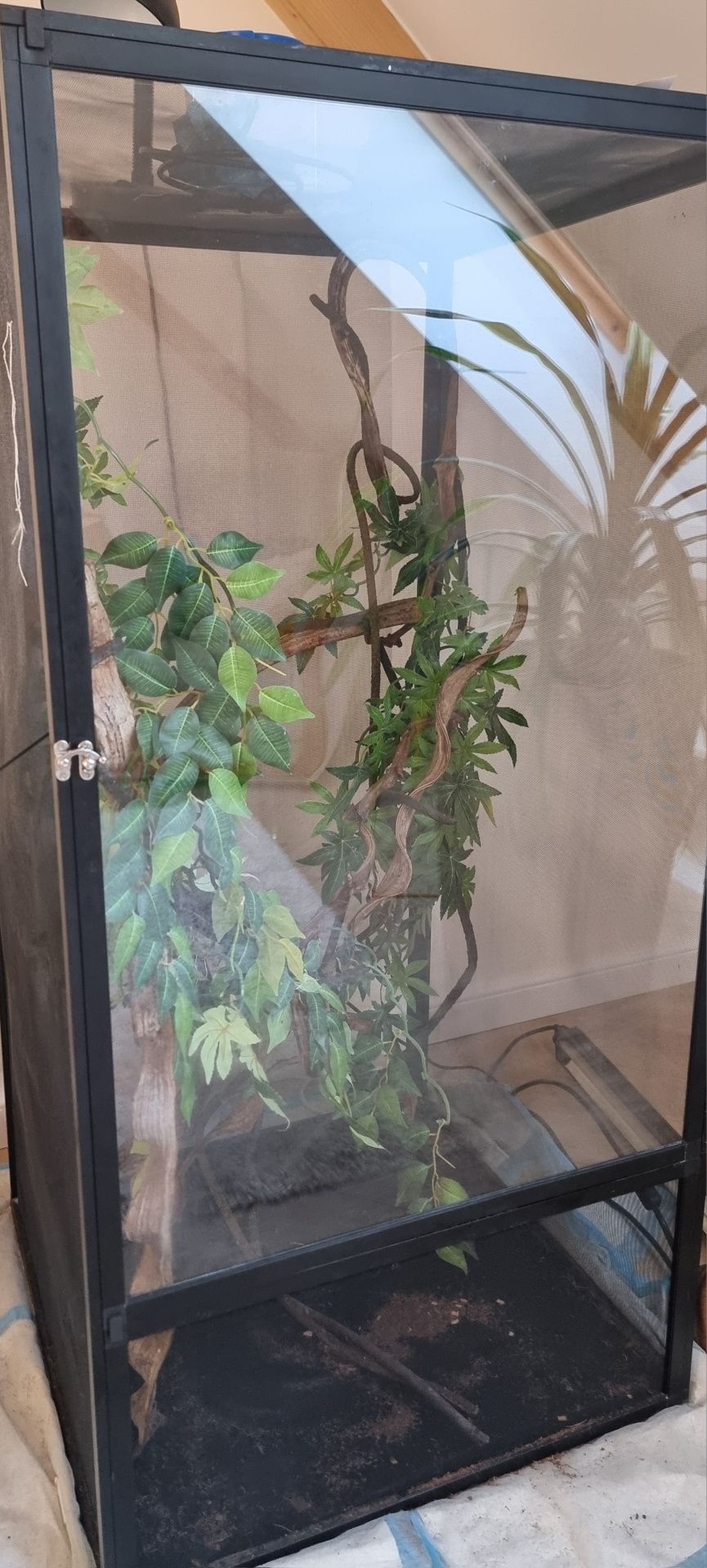 Terrarium dla kameleona