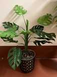 Sztuczny kwiat roslina drzewko palma monstera