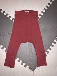 Longi manymonths Explorer Earth Red