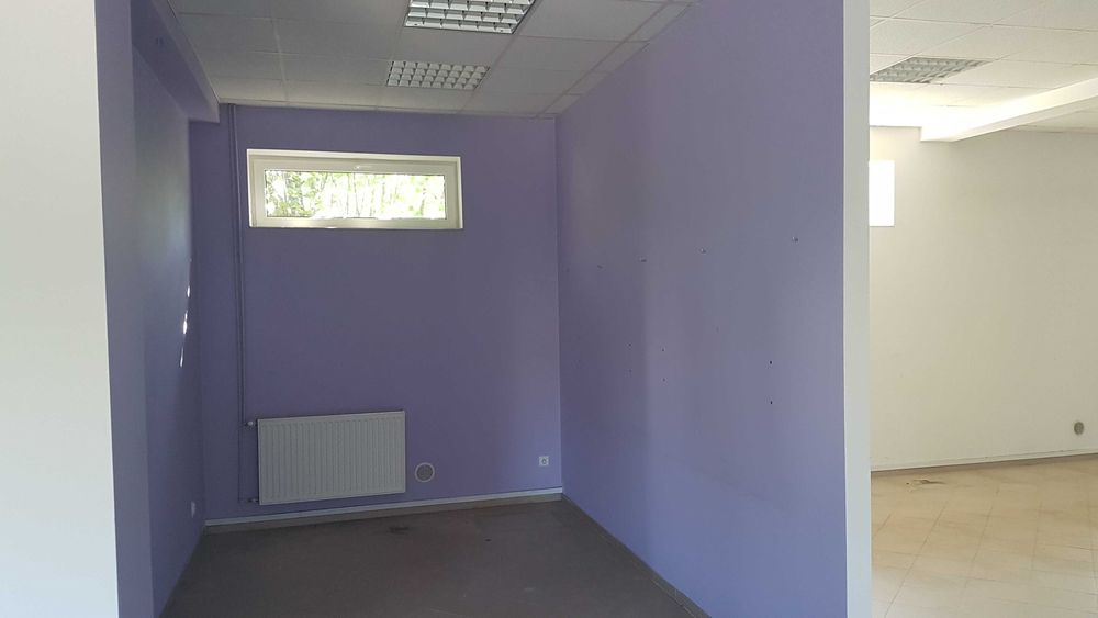Hala, Salon sprzedaży, Lokal handlowy, na Produkcję, 270m2 w Toruniu,
