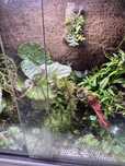 Male twrarium sprzwdam