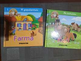Książki dla dzieci Farma i Koń deagostini, seria wesoła farma