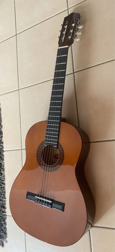 Viola clássica da Stagg