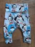 Spodenki maskonury Lenne Baby rozmiar 62