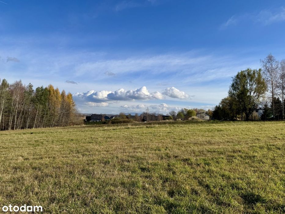 Kompleks działek 7159m² w Rudzicy – MPZP i media