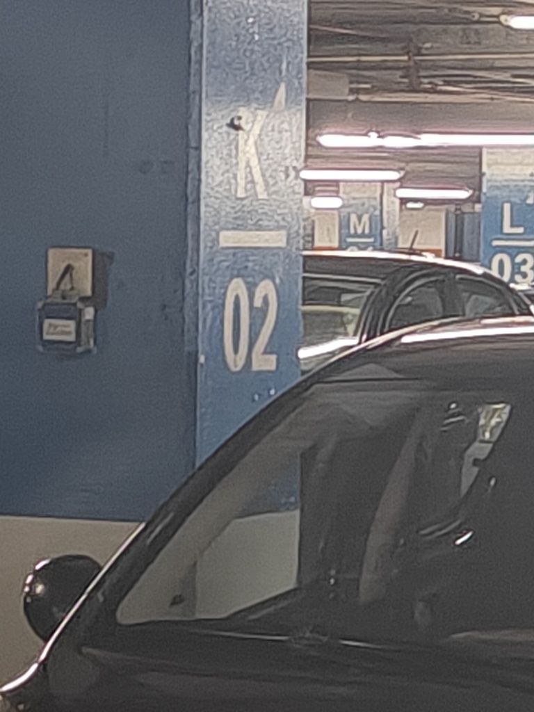Citroen C1 marcas de uso