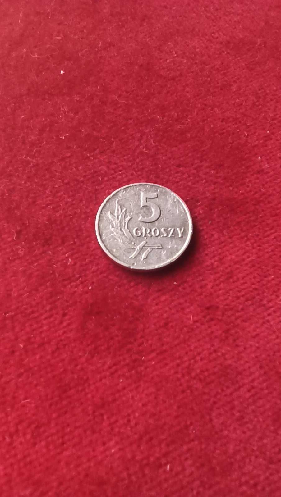 PRL, Moneta 5 groszy 1960r. / Najrzadsza! (2)