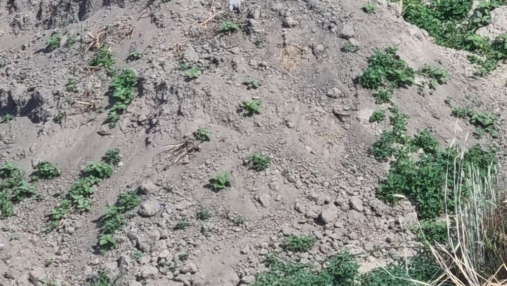 Ziemia , Urobek z wykopu za darmo