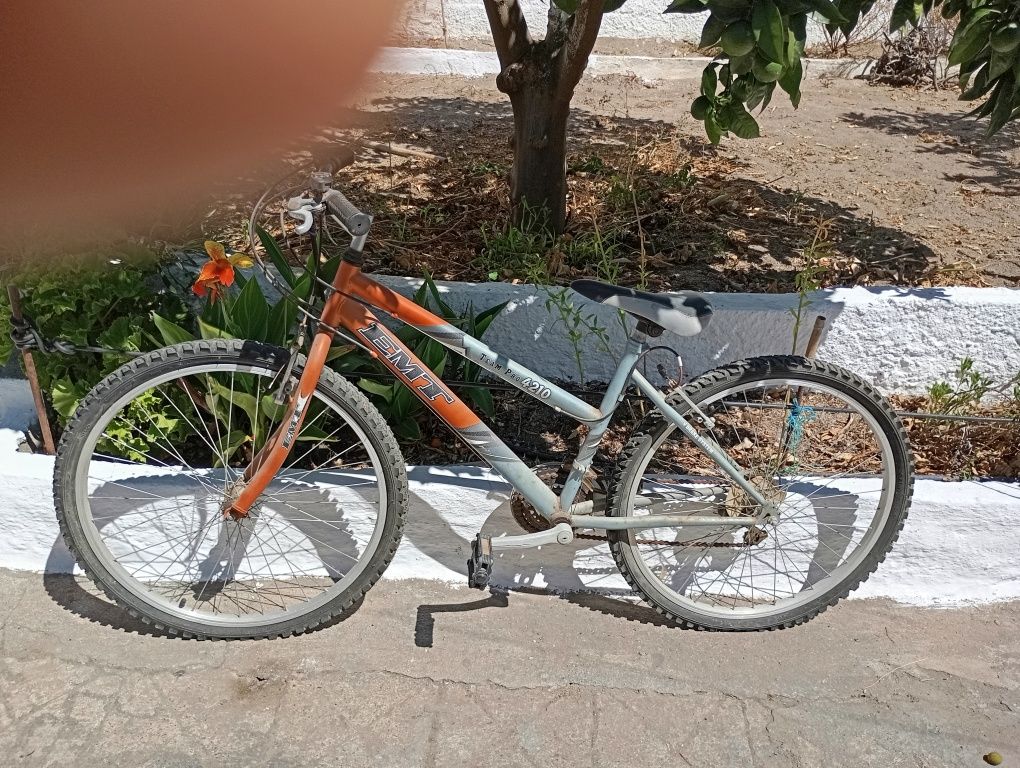 2 bicicletas usadas