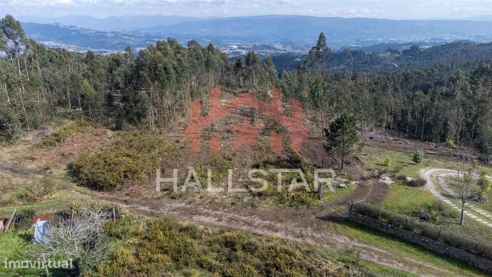 Terreno Florestal / Área Total 2.480m2 / Penafiel