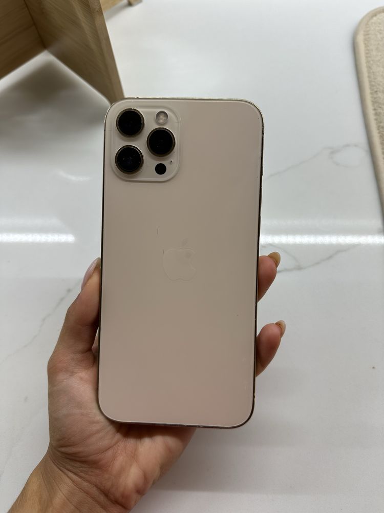 Iphone 12 Pro Max 256Gb
