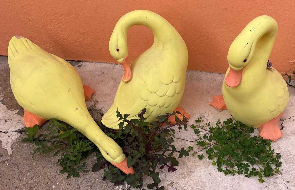 Patos antigos, decorativos tamanho real, loiça
