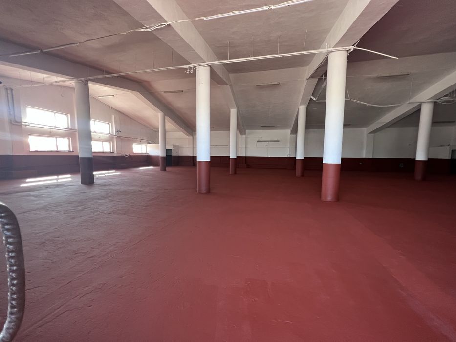 Hala, magazyn, lokal na wynajem Stare Babice bezpośrednio