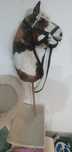 Konik na biegunach ,Hobby horse.